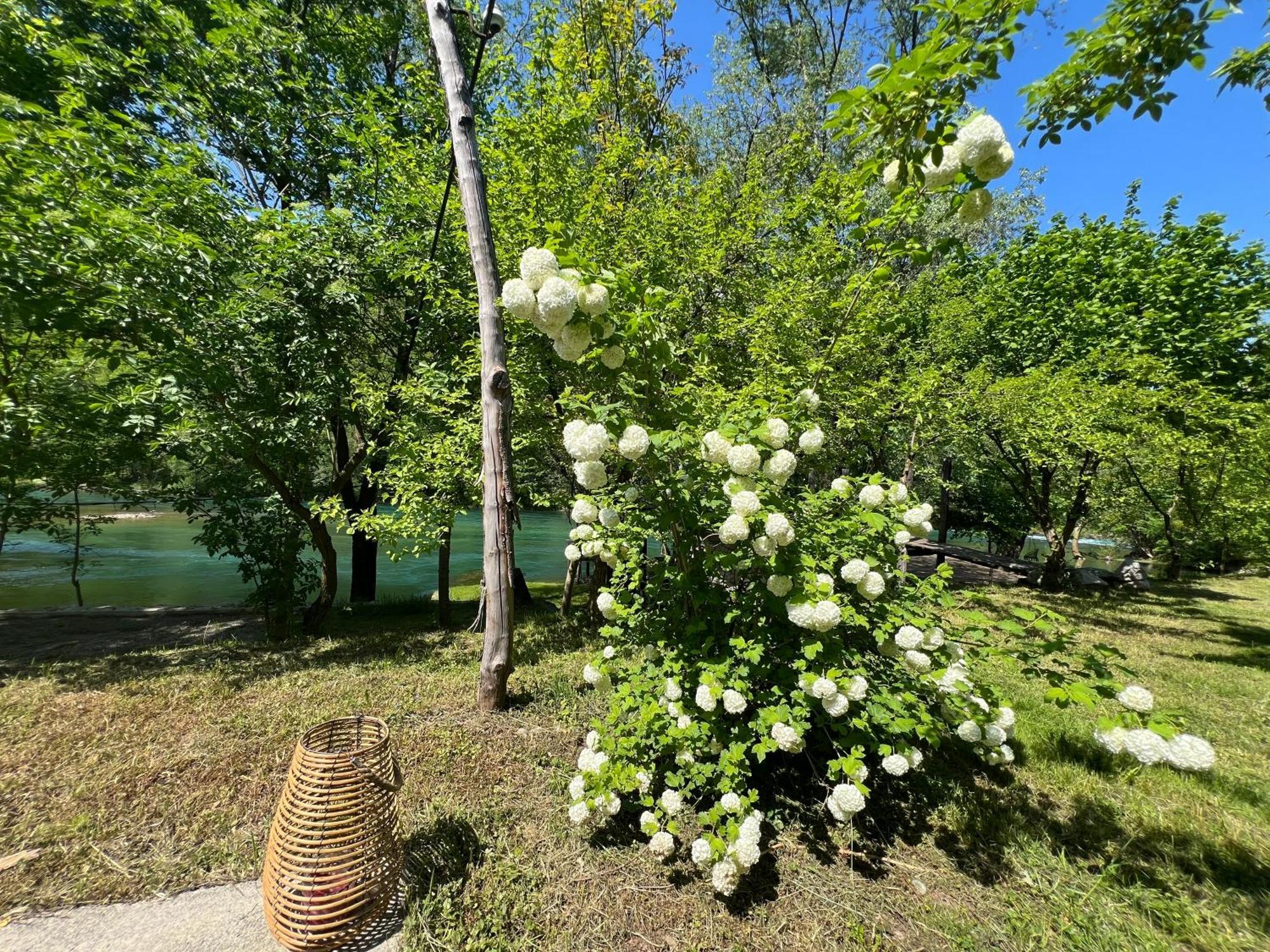 Anur Apartment Bihac Luaran gambar