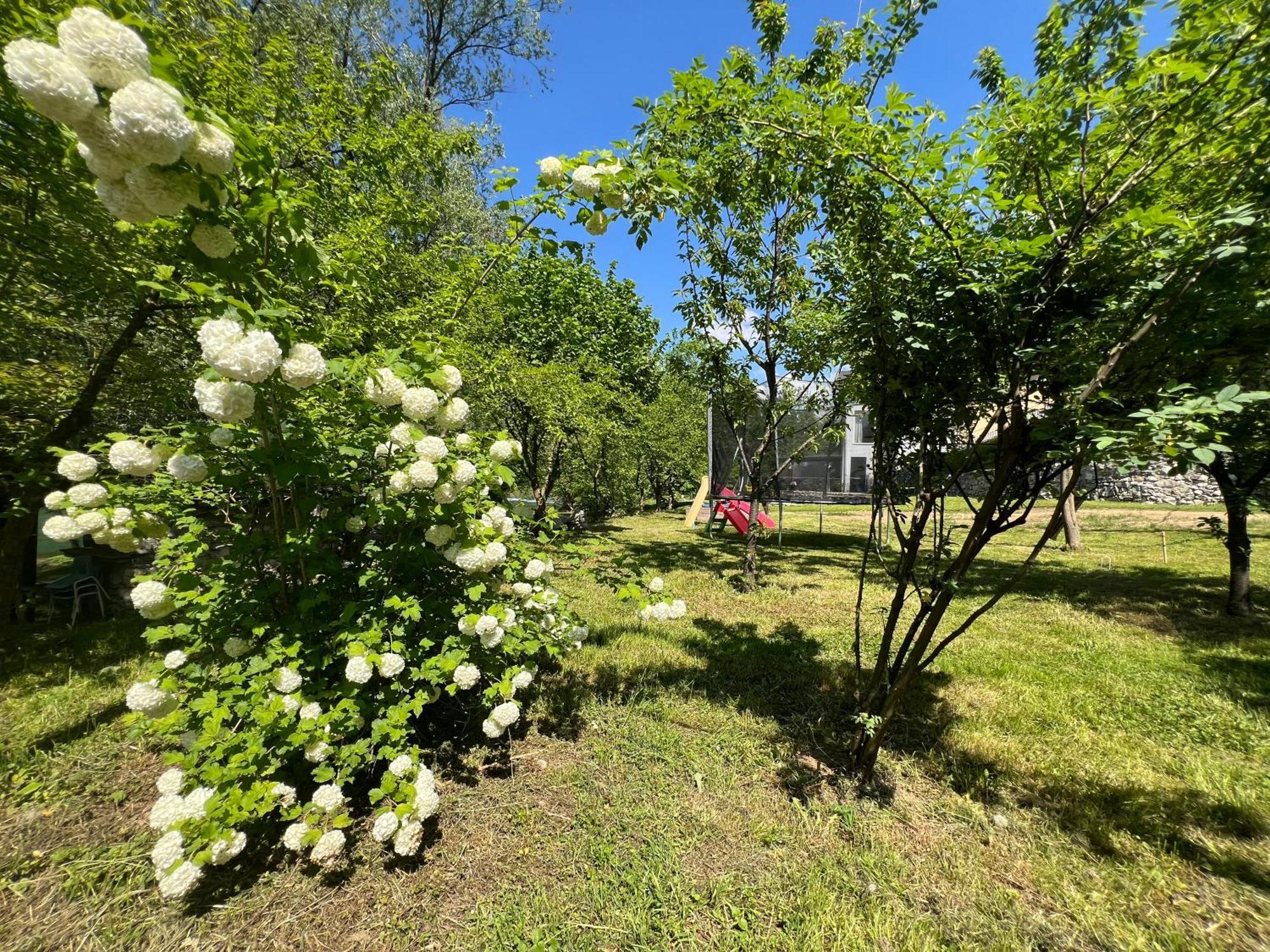 Anur Apartment Bihac Luaran gambar